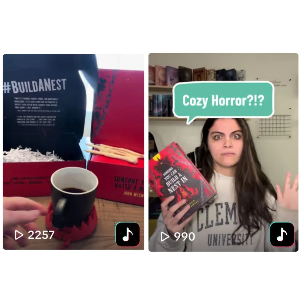 Influencer Campaigns